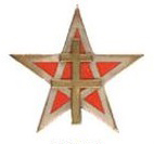 INSIGNE DE REGIMENT RMSM